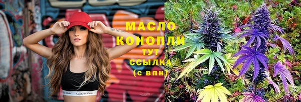 дживик Абинск