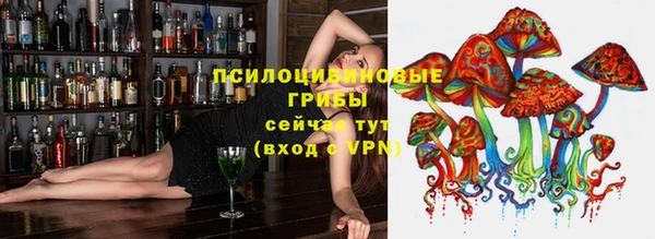 мет Медвежьегорск