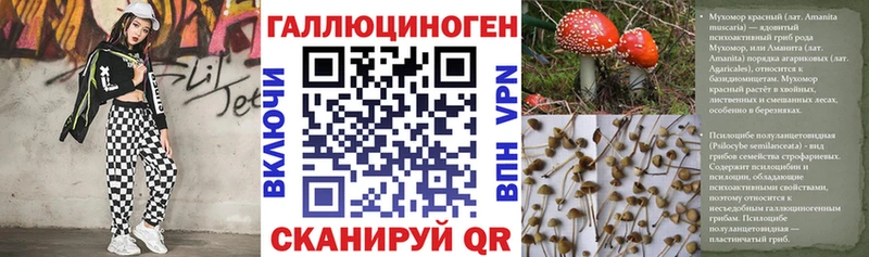 MEGA вход  Черкесск  Псилоцибиновые грибы прущие грибы 
